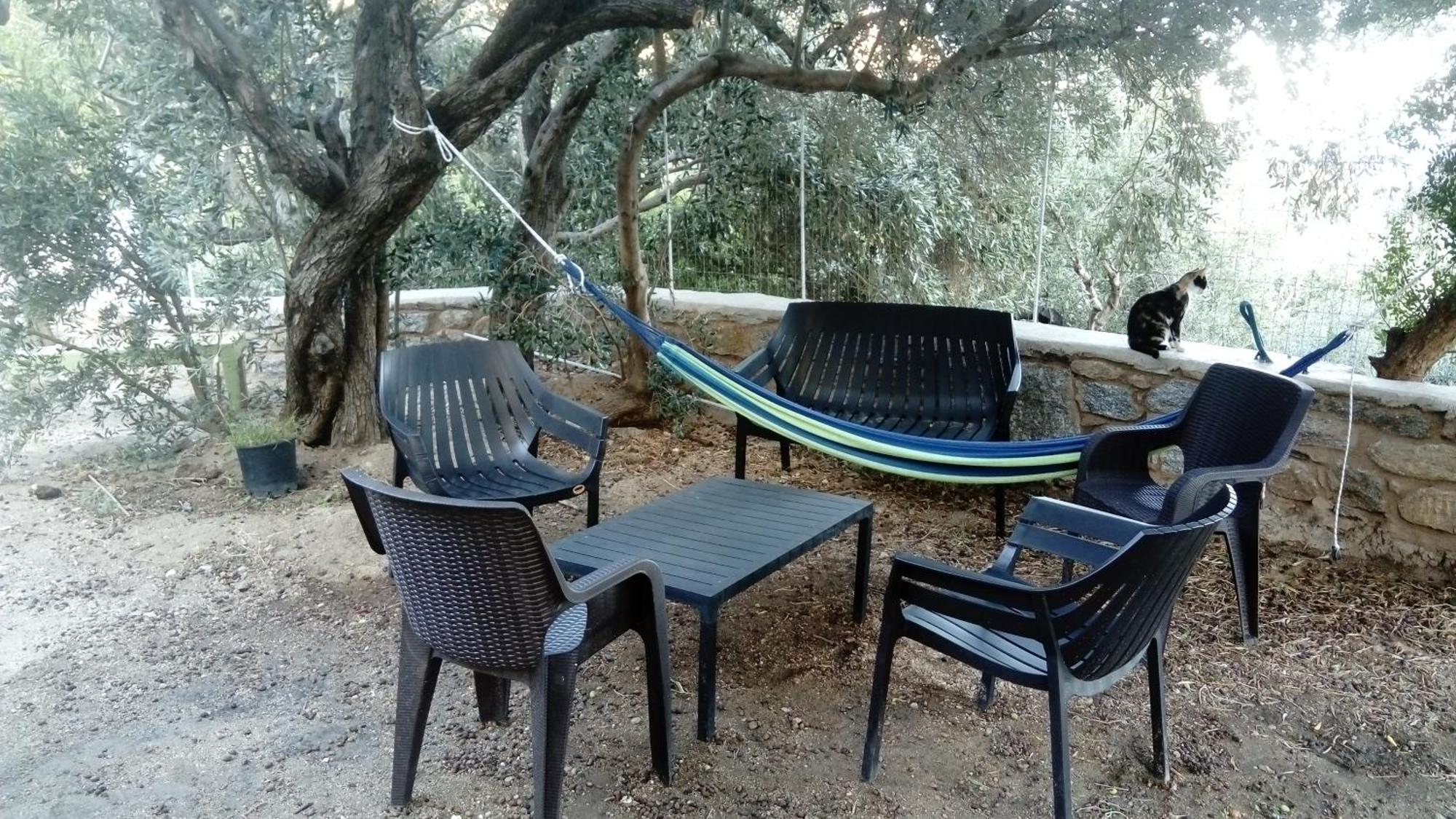 Apartment Zacharoula 2