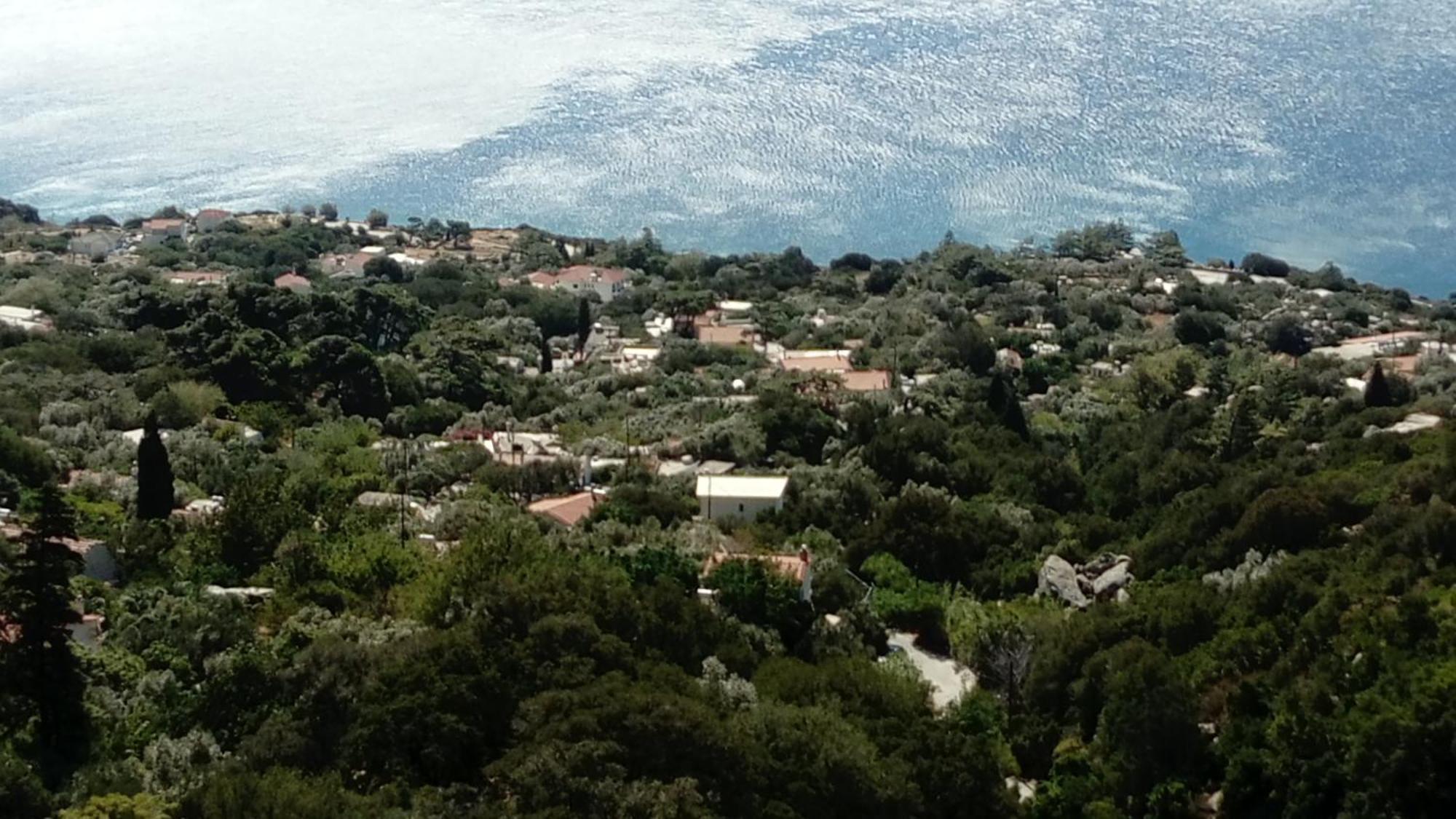 Zacharoula 2 * Μαγγανίτη