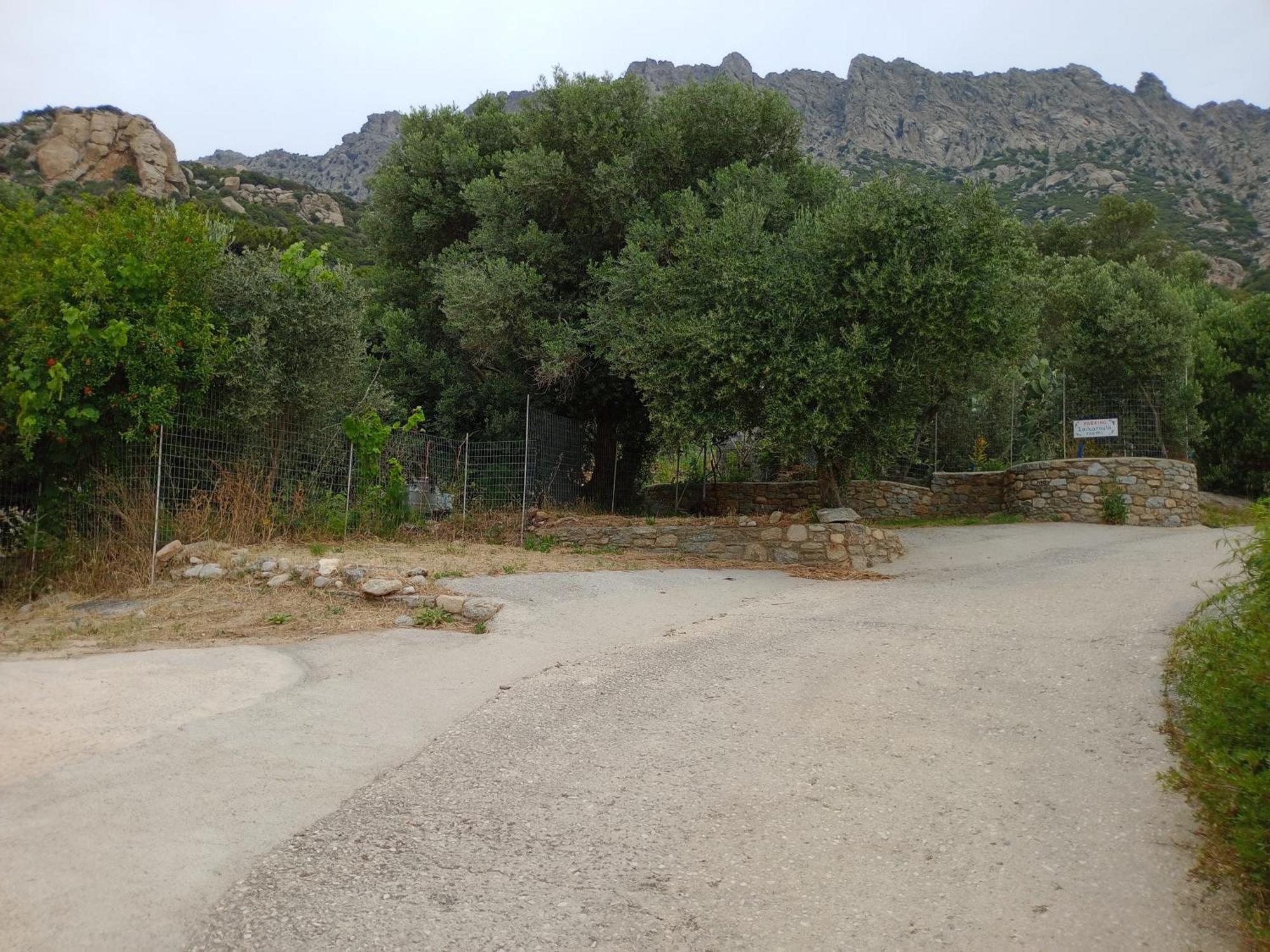 Zacharoula 2 * Μαγγανίτη