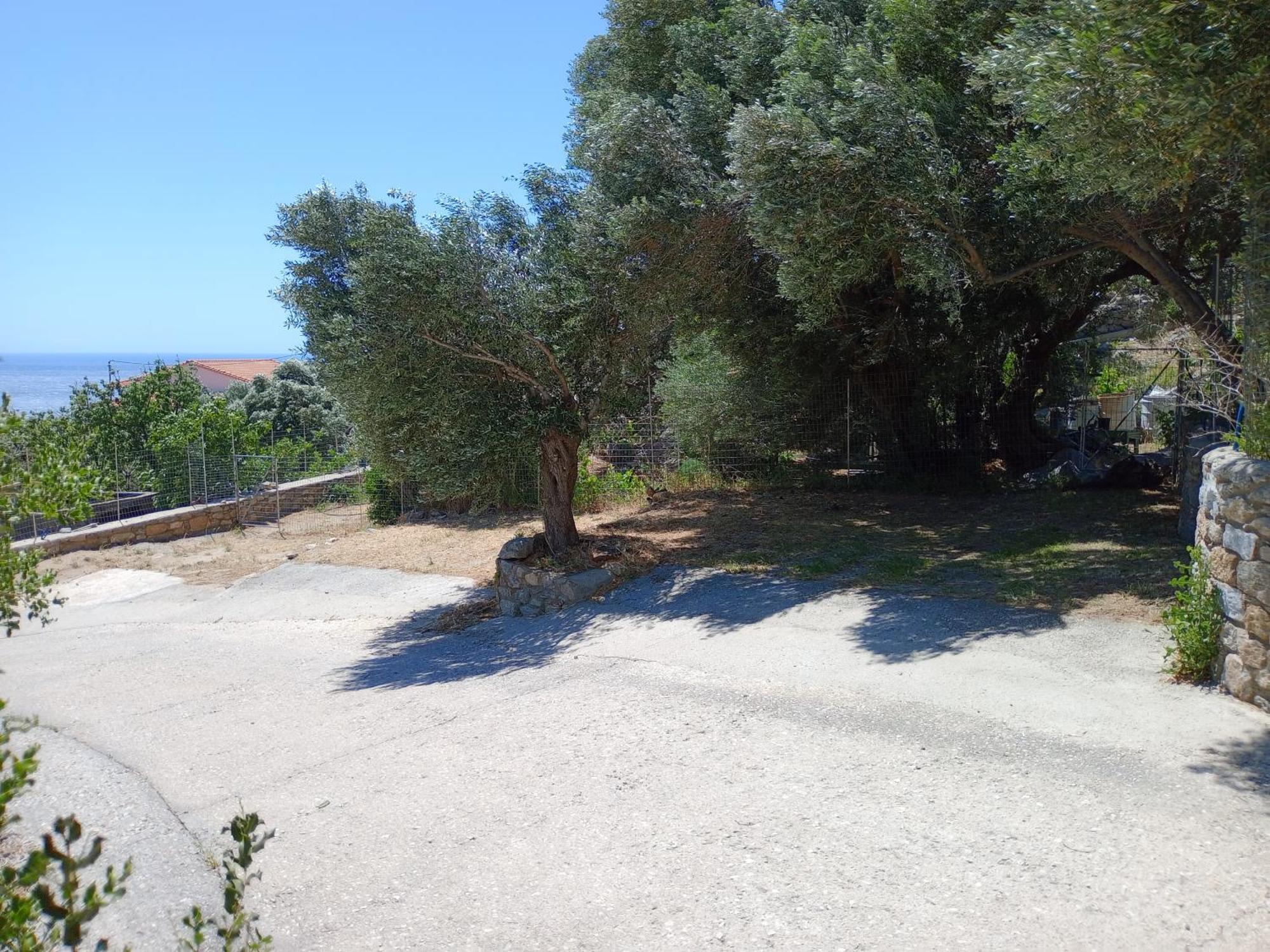 Zacharoula 2 Διαμέρισμα Μαγγανίτη